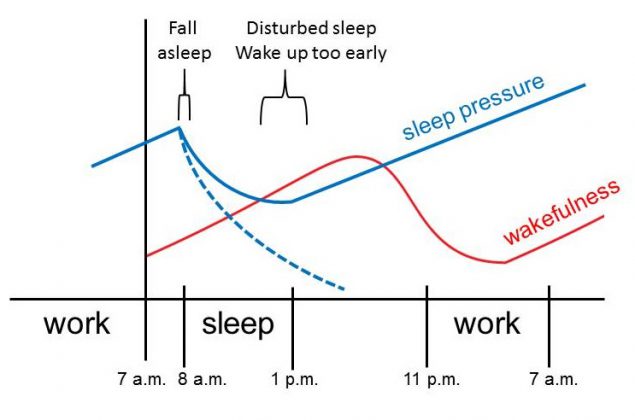 M2Hb Figure 2.6b. Working night shift leads to loss of synchronization of the homeostatic sleep pressure drive and circadian wakefulness rhythm.