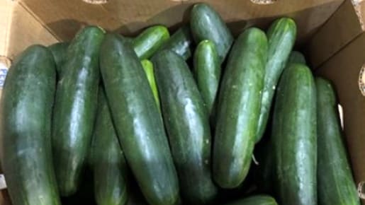 Green cucumbers in a brown box
