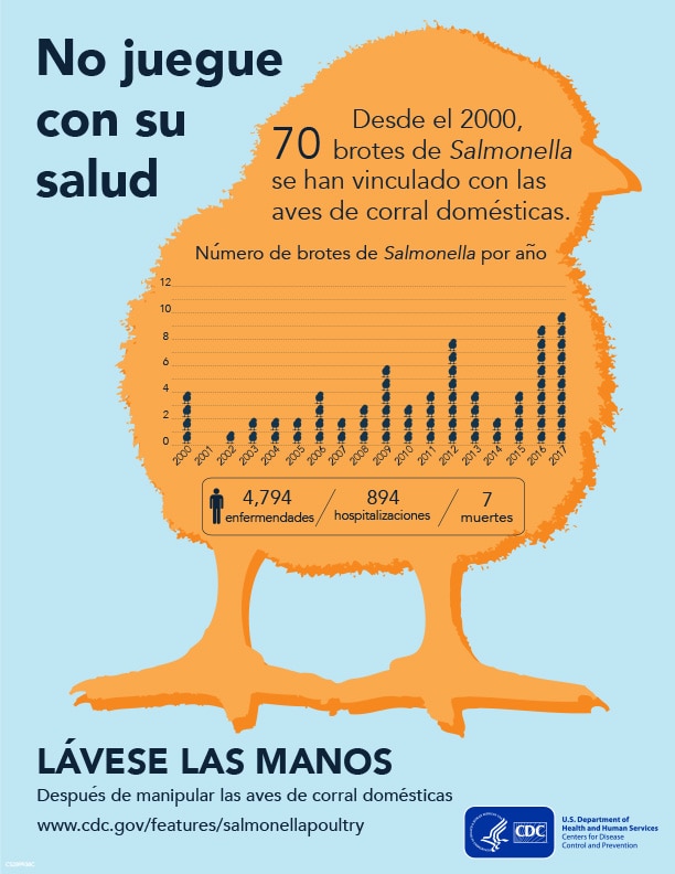 Setenta brotes de infecciones por Salmonella se han vinculado al contacto con aves de corral domésticas desde el 2000.